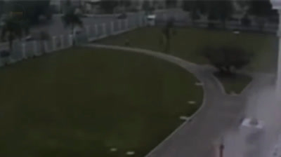 Vídeos de Supervivencia: Historias de Esperanza en Medio del Caos