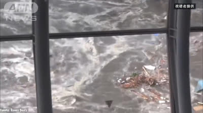 Vídeos de Desastres Naturales: La Realidad Ineludible