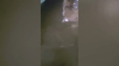 Desastres en Tiempo Real: Vídeos de Desesperación y Esperanza