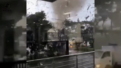 Supervivencia en Vídeo: Testimonios de Resiliencia