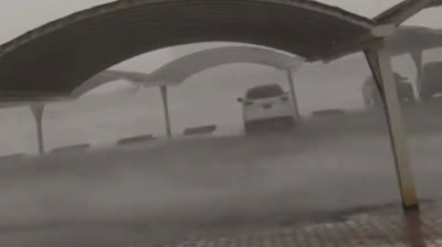 Vídeos de Desastres en Vivo: El Caos y la Esperanza