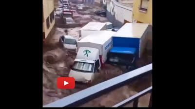 Vídeos de Desastres en Acción: La Lucha por la Supervivencia