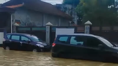 Vídeos de Desastres Naturales: La Lucha por la Supervivencia