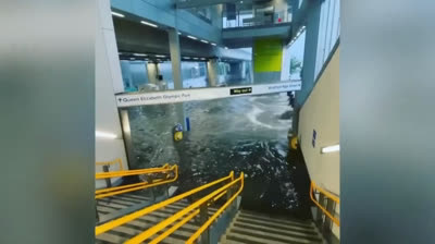 Vídeos de Desastres en Vivo: La Cruel Realidad del Caos