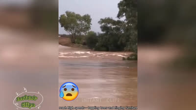 Vídeos de Desastres Naturales: Lecciones Aprendidas de la Naturaleza