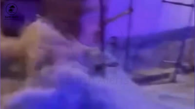 Vídeos de Desastres en Acción: El Poder Imparable de la Naturaleza