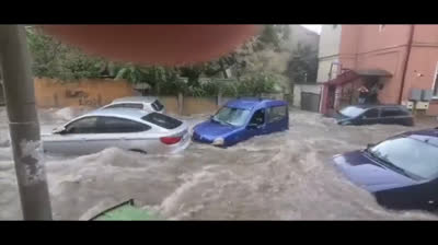 Vídeos de Catástrofes Naturales: La Belleza y el Horror en Equilibrio