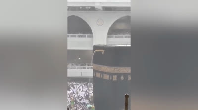 Vídeos de Desastres en Acción: La Realidad Cruda de la Naturaleza