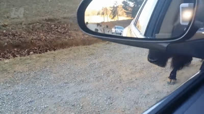 Risas garantizadas: recopilación de bromas épicas