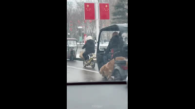 Desafíos divertidos y reacciones locas