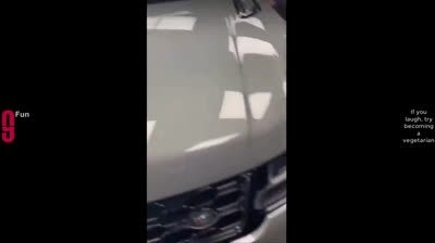 Bromas inocentes y carcajadas aseguradas