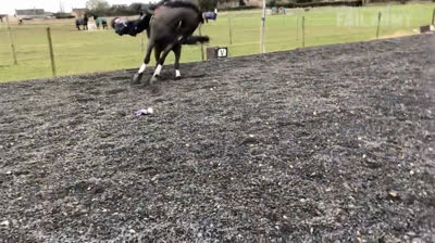 Bromas que salen mal: risas aseguradas