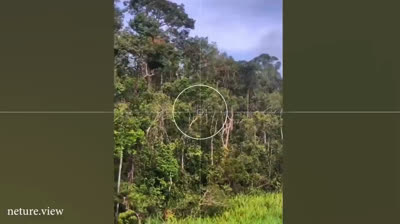 ¡No podrás parar de reír! Risas aseguradas con estos vídeos