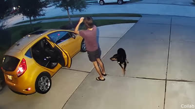 Humor viral: los momentos más graciosos del internet