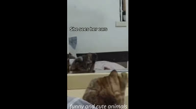 Compilación de fails: momentos graciosos para alegrar tu día