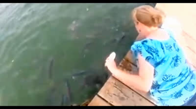 Bloopers y situaciones ridículas: risas sin fin