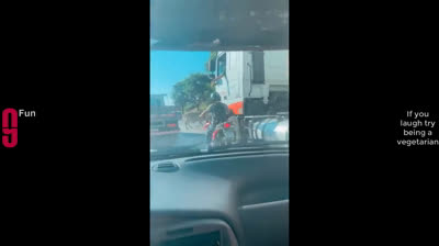 Locuras cotidianas: momentos cómicos capturados en vídeo