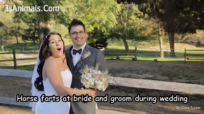 Momentos vergonzosos convertidos en risas contagiosas