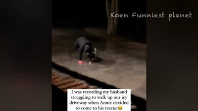 Locuras cotidianas: momentos graciosos de la vida real