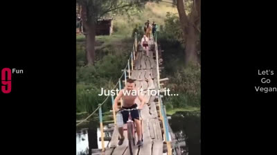 Bloopers y situaciones ridículas: risas sin fin