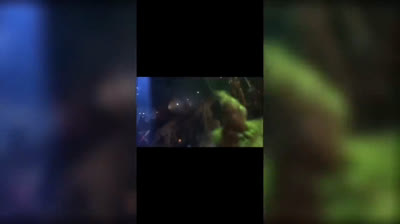 Desafíos divertidos y bromas pesadas