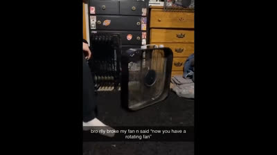 Locuras cotidianas y reacciones épicas