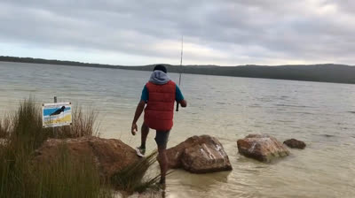 Risas instantáneas: diversión asegurada con estos vídeos