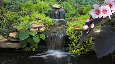 Yoga matutino para comenzar el día con energía positiva