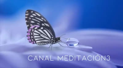 Elimina la tensión muscular con esta secuencia de yoga