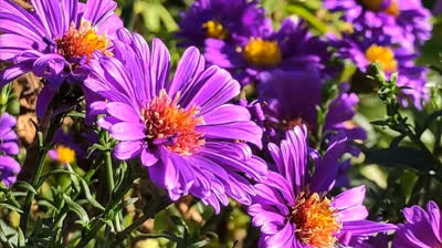 Despierta tu ser interior con esta clase de yoga