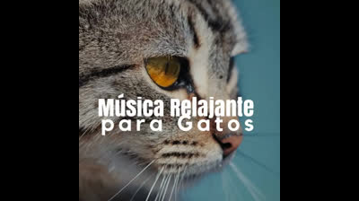 Meditación y yoga: Nutre tu alma y cuerpo