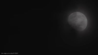 Meditación guiada para calmar la mente y el corazón