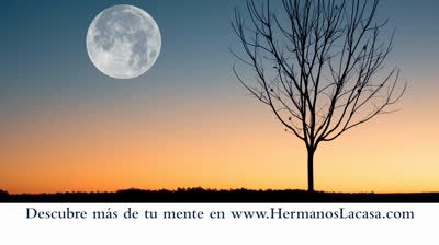 Yoga para la apertura del corazón: Cultiva el amor y la compasión