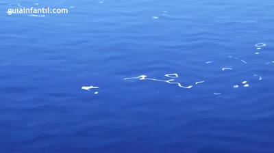 Siente la conexión: Yoga para relaciones más auténticas