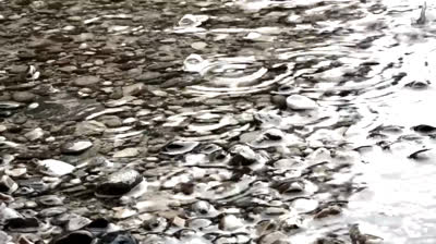 Práctica de yoga para la sanación interior y exterior