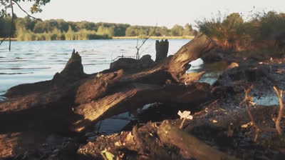 Empieza tu día con energía positiva: Rutina de yoga matutina