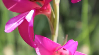 Encuentra la quietud: Yoga para la meditación profunda