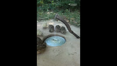 Ingeniosa trampa para pájaros