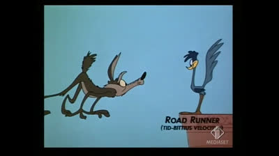 willy il coyote e beep beep epi 21