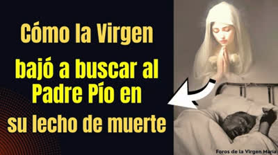 ¡increíble Encuentro! Cómo la Virgen María Vino a Buscar al Padre Pío para el Pasaje a la Otra Vida