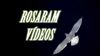 Nil Moliner - Libertad - VÍDEOS ROSARAM N: 282 -  Video Oficial .