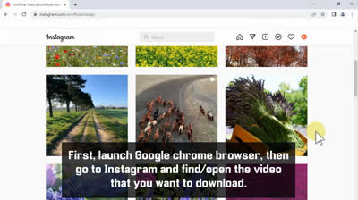 Descargar Videos de Instagram en 6 Sencillos Pasos: Guía Práctica