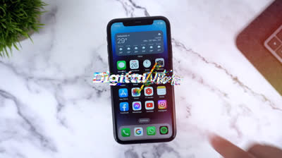 Cómo descargar videos de TikTok sin marca de agua: Guía completa