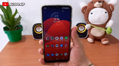 Libera tus TikToks: Descargar sin marcas de agua