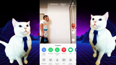 Tutorial rápido y fácil: Descargar TikToks sin marcas de agua