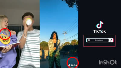 Consejos rápidos: Descargar videos de TikTok sin marcas de agua