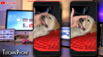 Cómo descargar videos de TikTok sin la marca de agua molesta