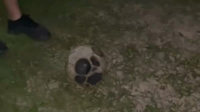 Descubre los momentos más emocionantes del fútbol amateur: ¡Increíble habilidad en la cancha!