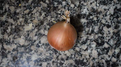 Tortilla de Patatas: Cómo Prepararla como un Auténtico Chef