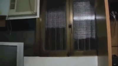 Cats vs. Cucumbers: The funniest reaction